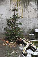 Advent a Vánoce 2009 v Českém Krumlově, foto: Lubor Mrázek (97/108)