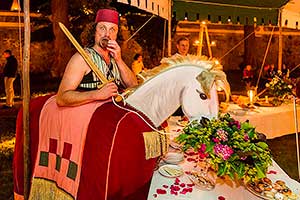 Barokní noc na zámku Český Krumlov ® 26.6. a 27.6.2015, Festival komorní hudby Český Krumlov, foto: Lubor Mrázek (111/132)