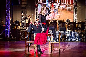 II. reprezentační ples města Český Krumlov, Zámecká jízdárna 23.1.2016, foto: Lubor Mrázek (68/128)