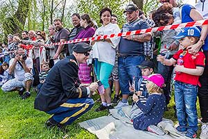 Oslava 71. výročí konce 2. světové války 7. - 8. května 2016, foto: Lubor Mrázek (90/164)