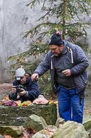 Medvědí vánoce, 24.12.2016, Advent a Vánoce v Českém Krumlově, foto: Lubor Mrázek (12/40)