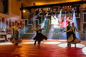 III. reprezentační ples města Český Krumlov 11.2.2017, foto: Lubor Mrázek (60/192)