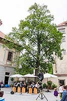 Jazzband Schwarzenberské gardy, 2.7.2017, Festival komorní hudby Český Krumlov, foto: Lubor Mrázek (18/24)