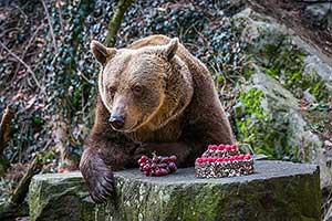 Medvědí vánoce, 24.12.2017, Advent a Vánoce v Českém Krumlově, foto: Lubor Mrázek (8/28)