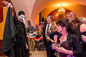 IV. reprezentační ples města Český Krumlov, Zámecká jízdárna 27.1.2018, foto: Lubor Mrázek (31/204)