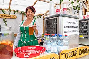 Slavnosti pětilisté růže ®, Český Krumlov, neděle 23. 6. 2019, foto: Lubor Mrázek (30/147)